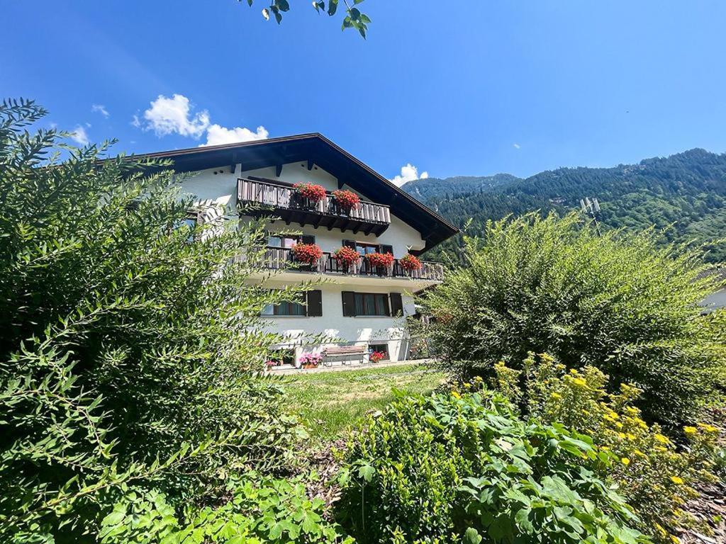 Appartamento Haus Netzer Elisabeth Sankt Gallenkirch Esterno foto